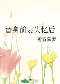 替身前妻失忆后