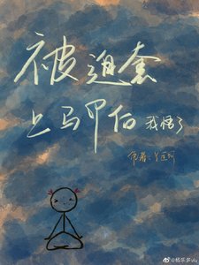 被套上马甲后我悟了